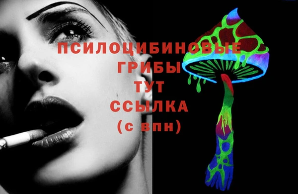 альфа пвп Дмитровск
