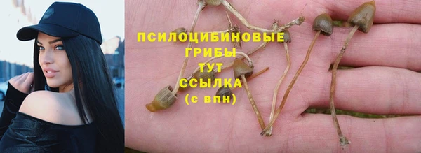 меф Дмитриев