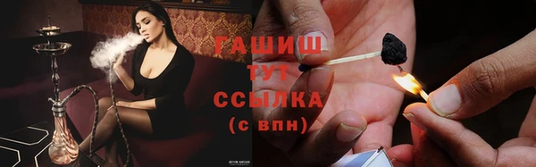ECSTASY Гусев