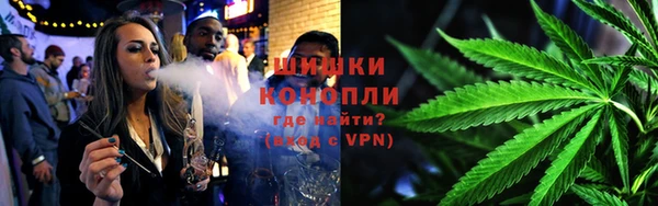 альфа пвп Дмитровск