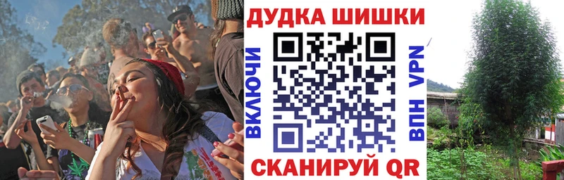 Конопля конопля  продажа наркотиков  Томск 